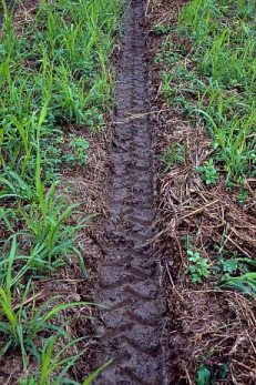 CTF post rain red CTF post rain red