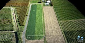AltusMicroFarmVideoImage