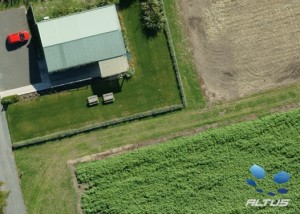 A zoom-in on part of the image showing the Green Shed and corner of a crop of mustard