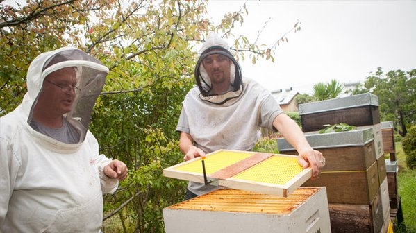 Beez Thingz founders Julian McCurdy and Peter Bennett Image (C) Sprout