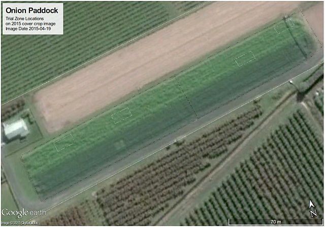 MicroFarm Onion Beds with Winter Cover Crops (as shown on Google Earth image 19 April 2015)