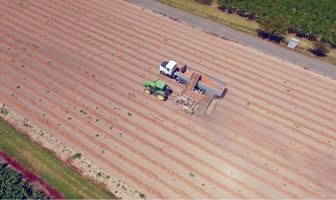 Harvesting_2_web