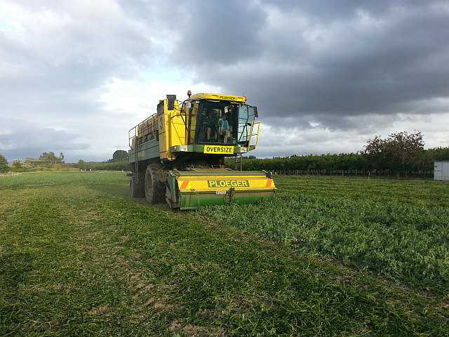 Pea Harvester MicroFarm2