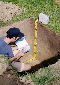 Landcare Research SamCarrick_LandcareImage