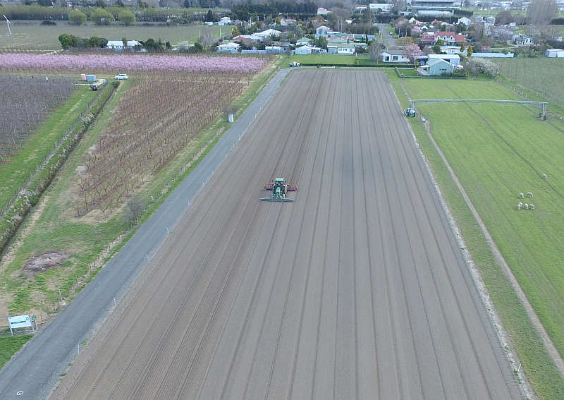 Sowing onion seed at the MicroFarm