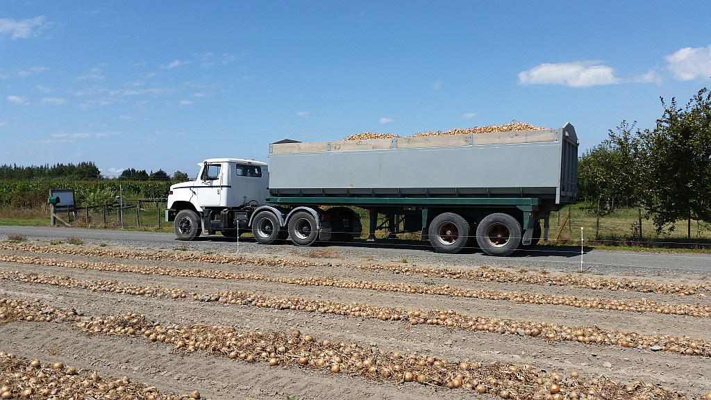TruckingOnions_web