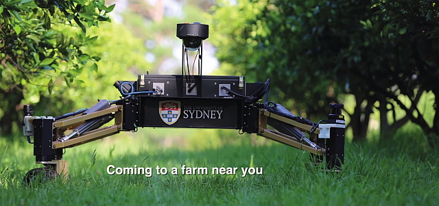 Mammoth Robot - a reconfigurable robot for row crop monitoring (University of Sydney image)
