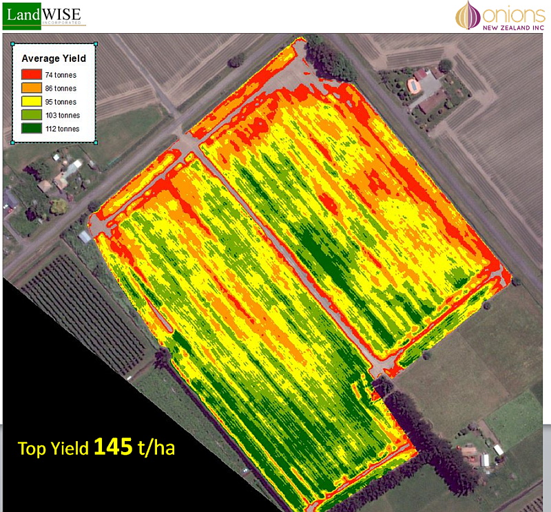 Yield assessments show considerable variation, limits imposed by population, growth of individual plants, or both
